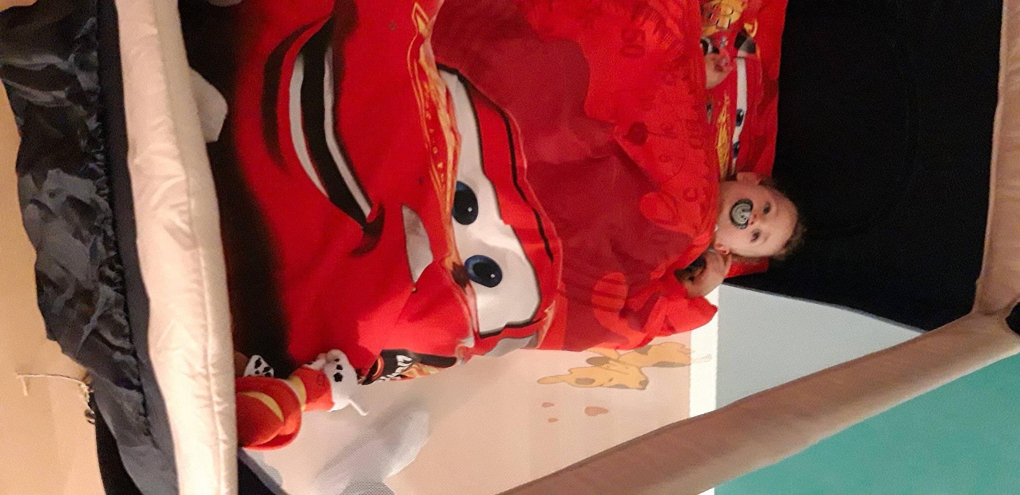 Sohan participe au concours pour gagner de l'argent avec cette photo : animation, backpack, bag, carmine, child, event, fun, linens, magenta, mouth, pattern, person, personal_protective_equipment, room, sleeve, stuffed_toy, t_shirt, textile, toy, tree