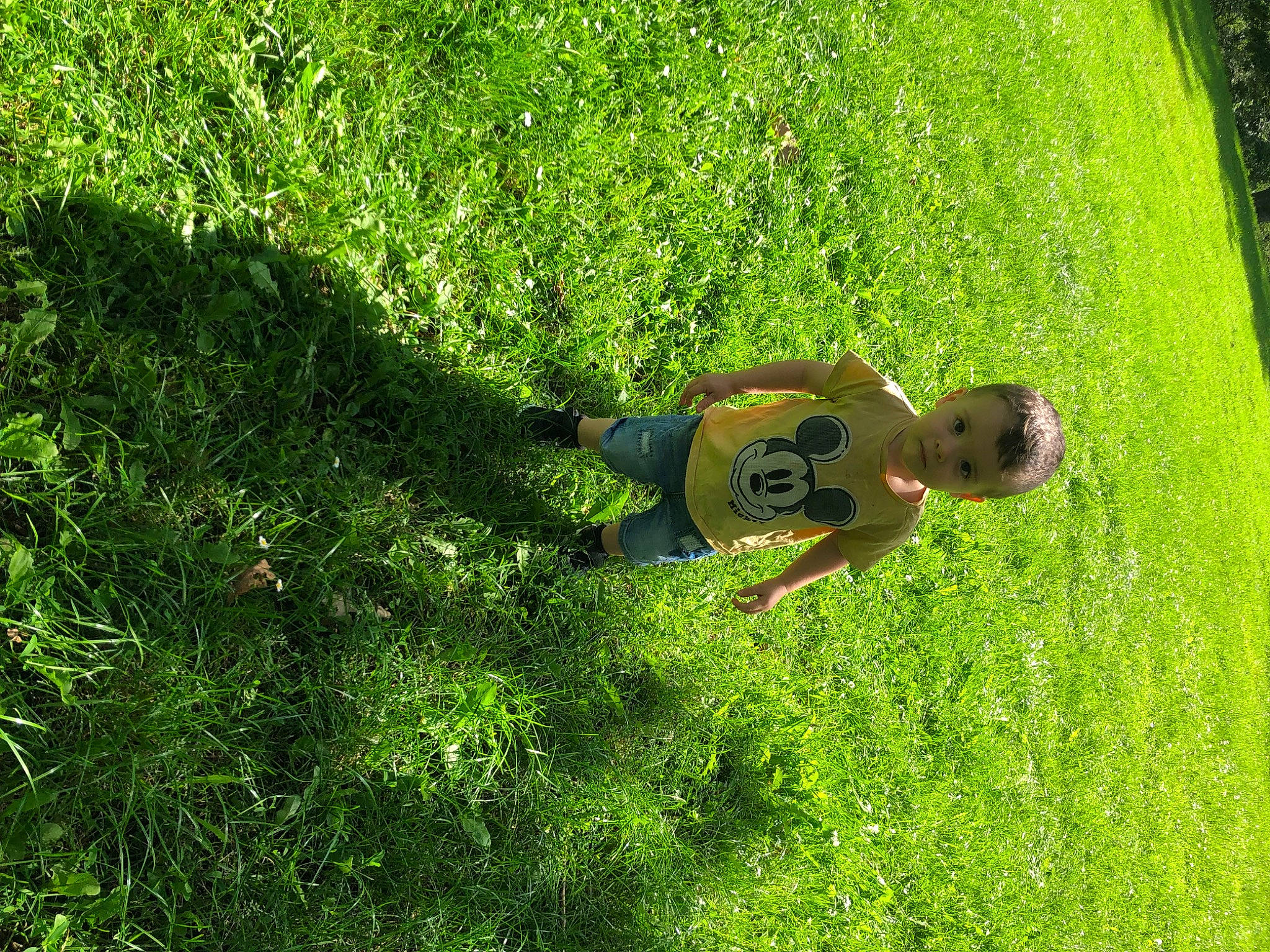 Kayron a rejoint le concours — aidez-le/la à gagner de superbes lots ! garden, grass, grass_family, grassland, groundcover, happy, landscape, leisure, natural_landscape, pasture, people_in_nature, person, plant, prairie, shadow, shrub, soil, terrestrial_plant, toddler, tree