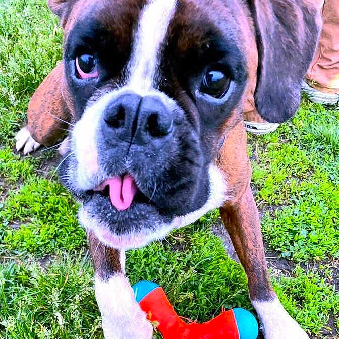 Muggsy