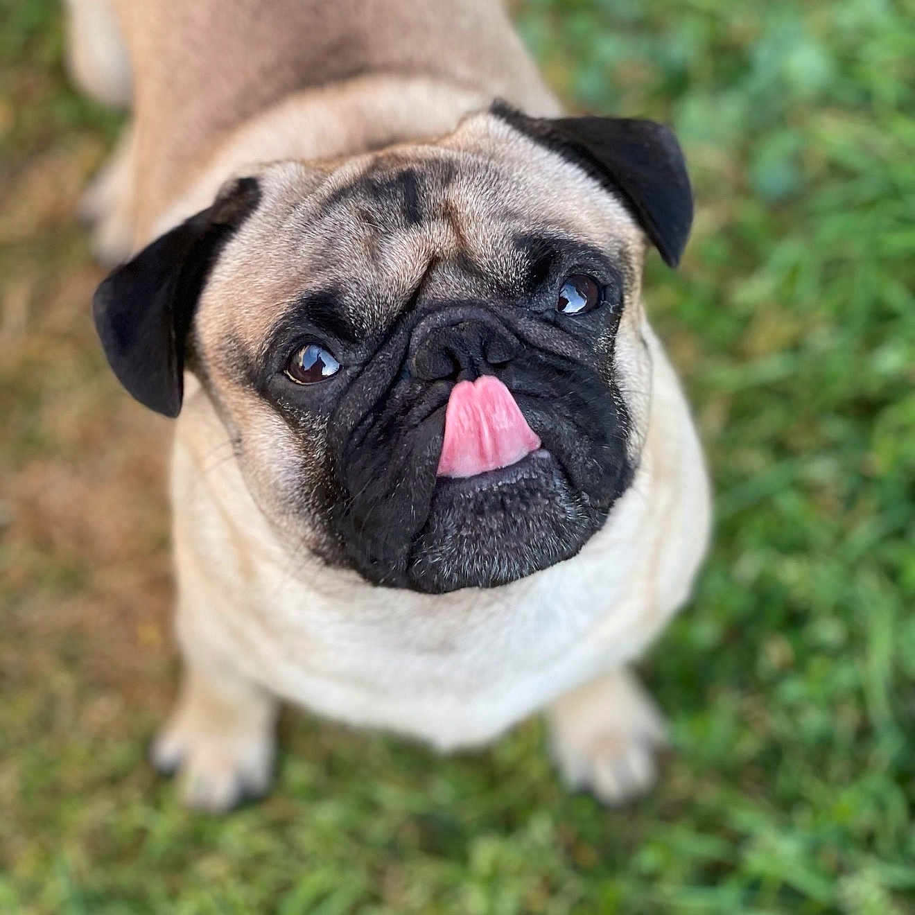 Morty