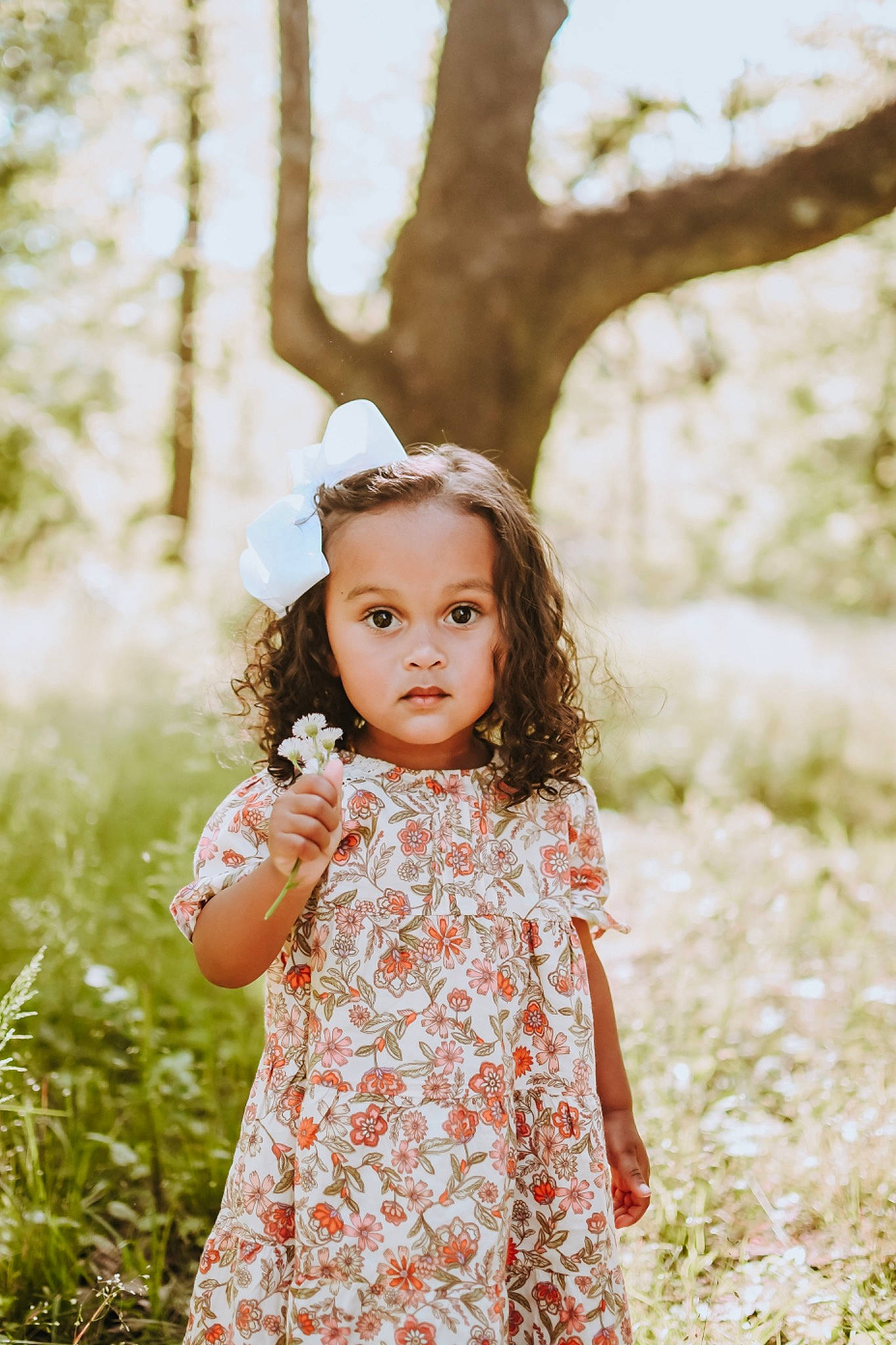 Lilliana is registered to the contest to win money with this photo: brown_hair, child, day_dress, dress, eyelash, flash_photography, forest, grass, grassland, happy, lip, long_hair, one_piece_garment, people_in_nature, person, plant, skin, sunlight, toddler, tree