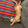 cat, ginger_cat, stretching, couch, blanket, striped_blanket, indoor, feline, pet, relaxing, sleeping, cozy, furniture, home, comfort, tabby, soft, rest, animal, cute