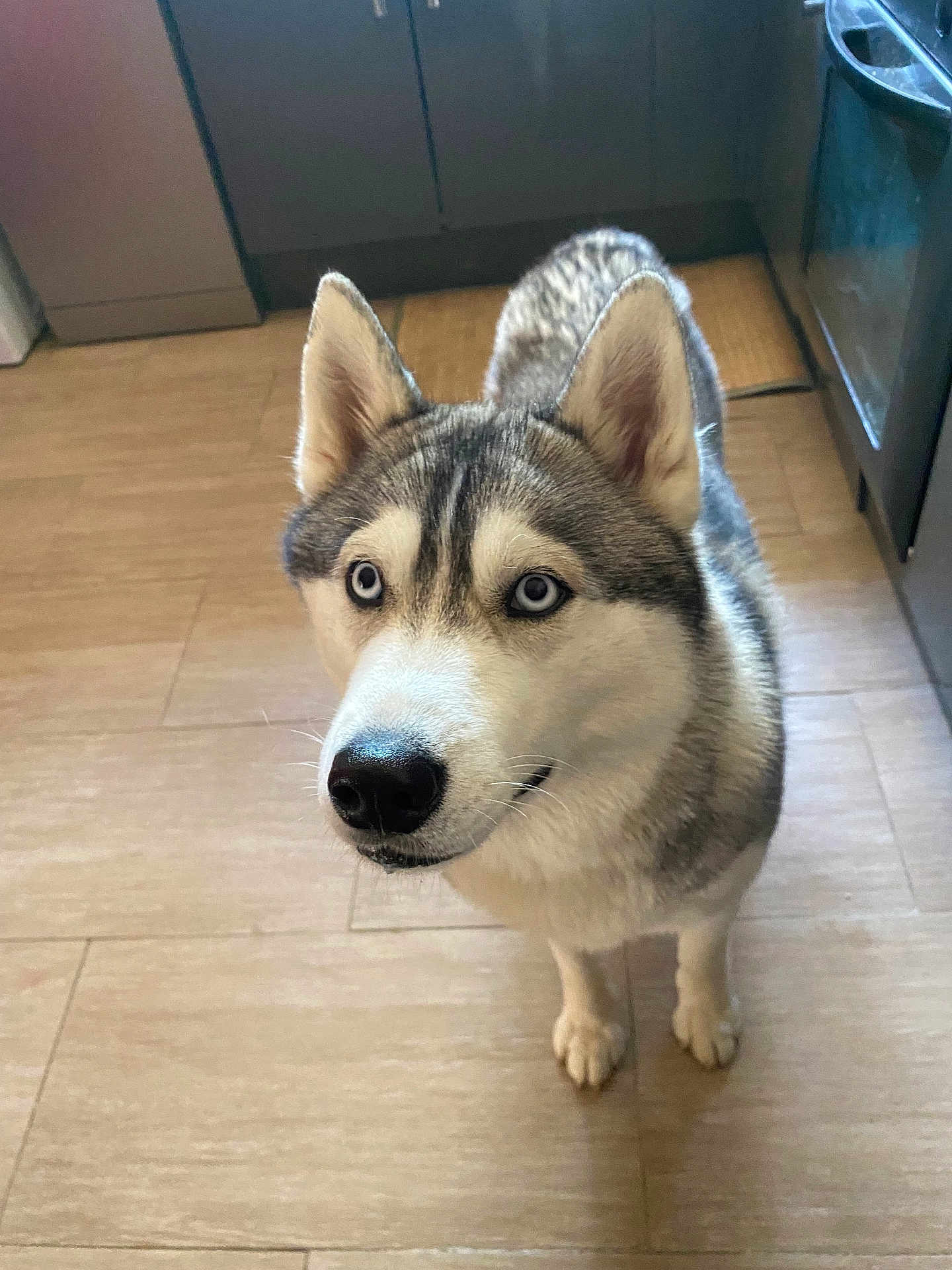 Valka