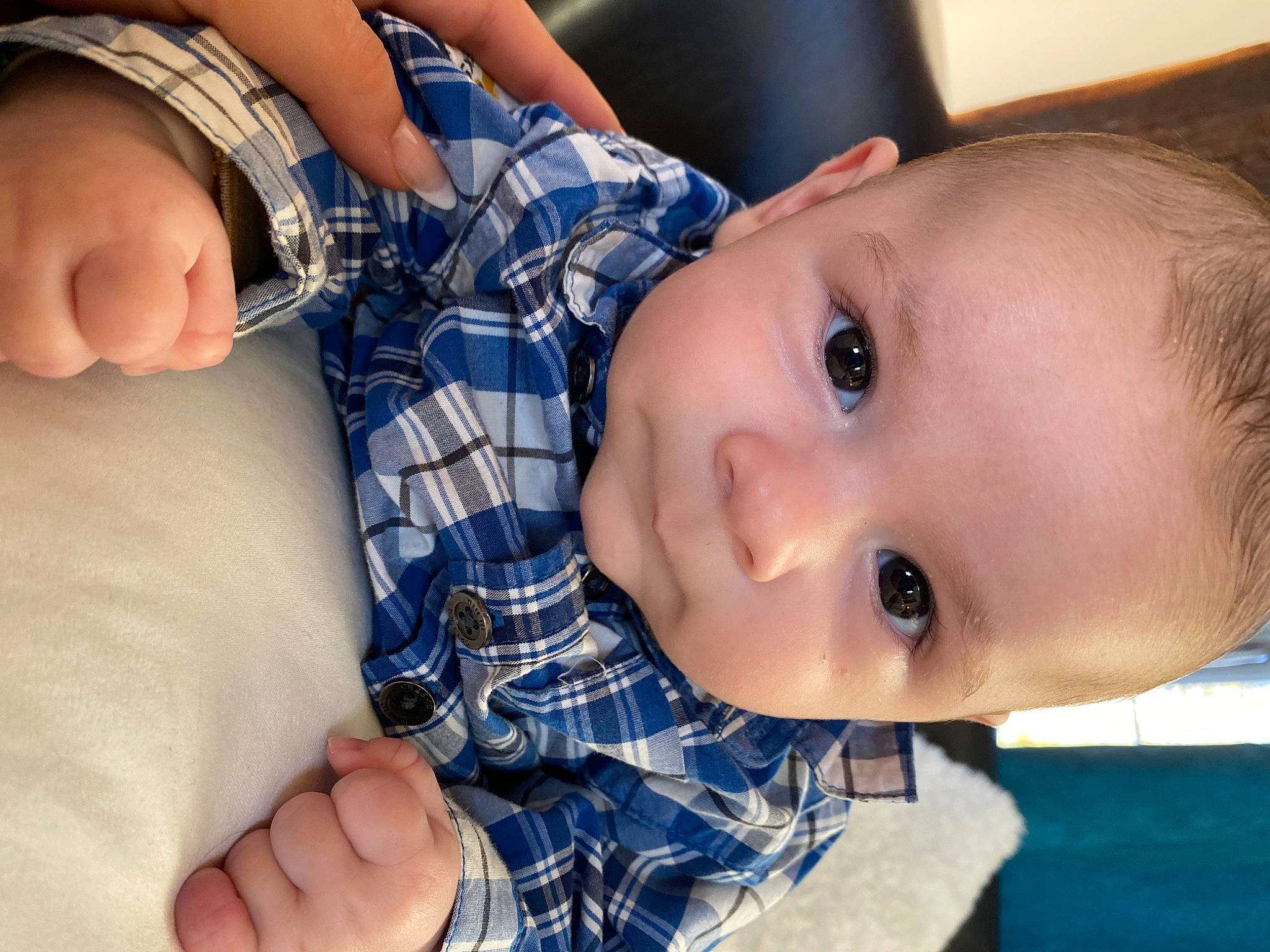 Valentino participe au concours pour gagner de l'argent avec cette photo : arm, blue, cheek, chin, eye, eyebrow, eyelash, face, gesture, hand, human_body, iris, joint, lip, mouth, muscle, neck, nose, person, skin