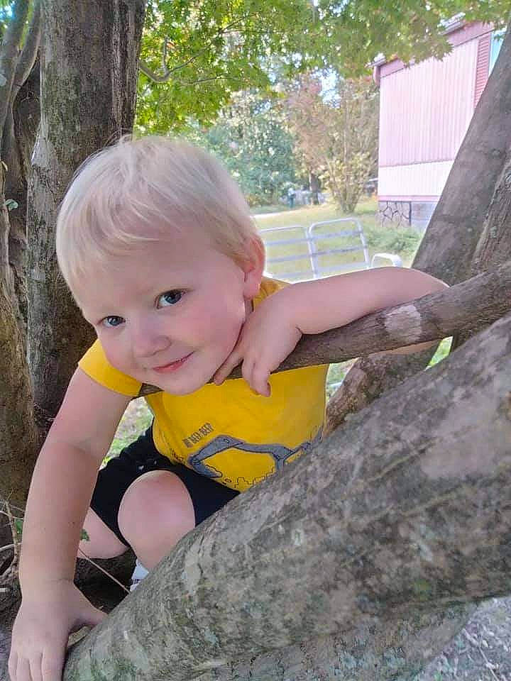 Travis joined the competition — help win amazing prizes! baby, baby_toddler_clothing, beauty, blond, child, eye, fun, grass, happy, leaf, leisure, people_in_nature, person, plant, recreation, smile, t_shirt, toddler, tree, trunk