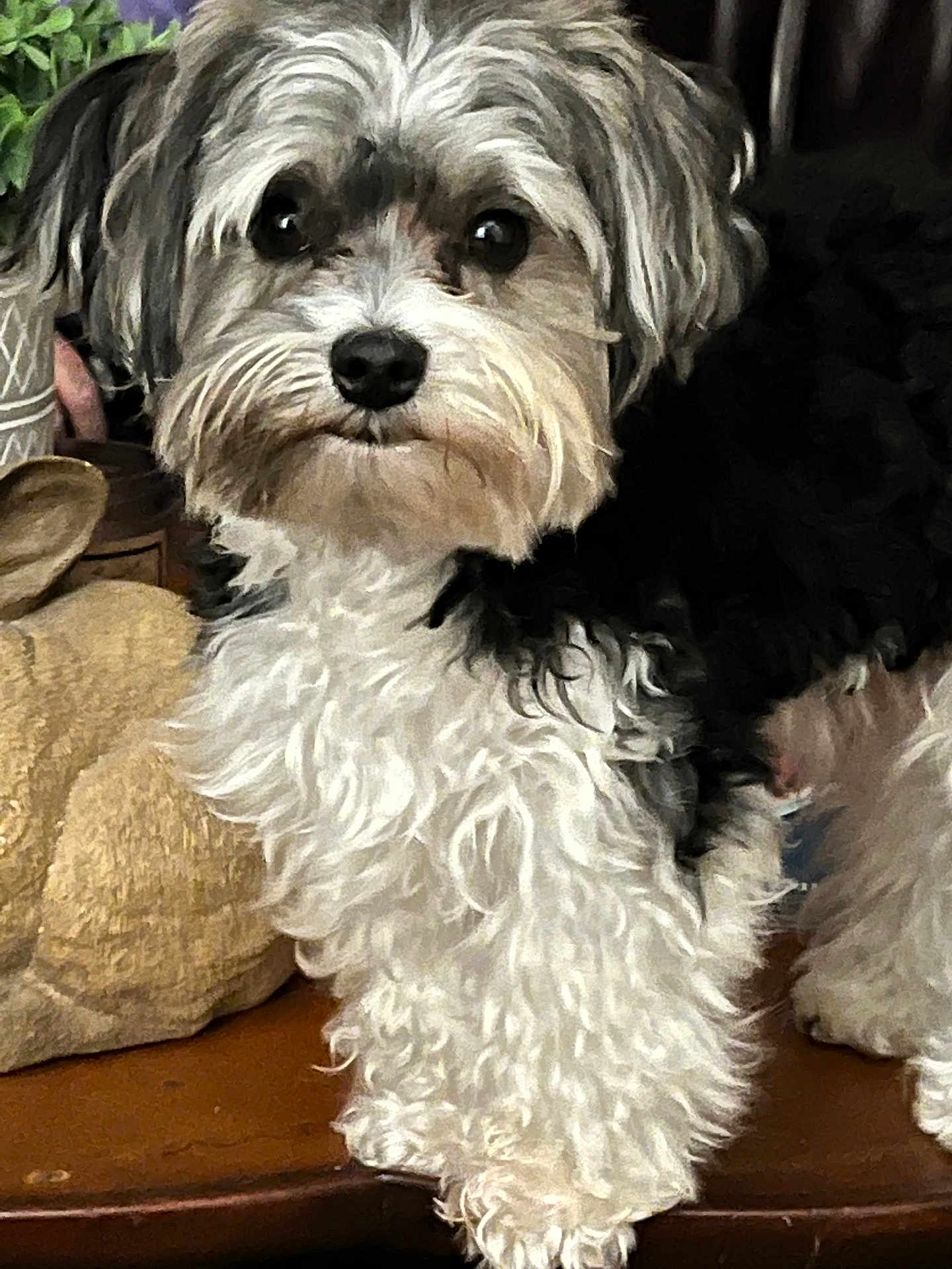 Jack