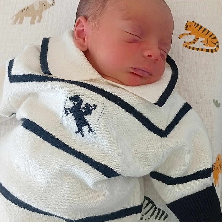 Kenan participe au concours pour gagner de l'argent avec cette photo : newborn, baby, sleeping, infant, blanket, animal_pattern, tiger, zebra, clothing, sweater, cute, peaceful, portrait, indoors, soft_light, cozy, child, resting, young, sleep