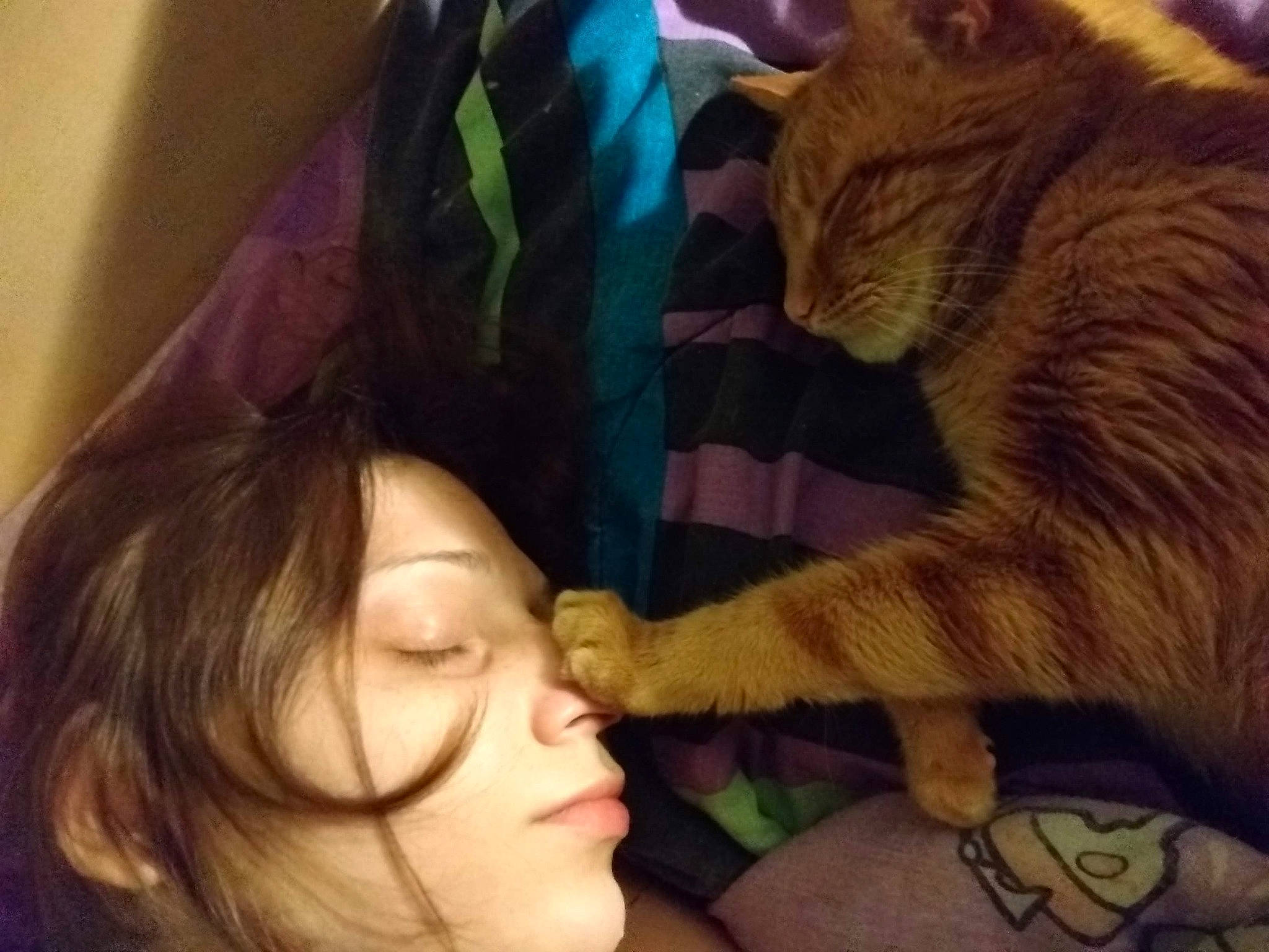 Huey joined the competition — help win amazing prizes! beauty, cat, comfort, companion_dog, eyelash, fawn, felidae, fun, fur, gesture, happy, lip, mammal, mouth, nose, selfie, skin, small_to_medium_sized_cats, tail, whiskers