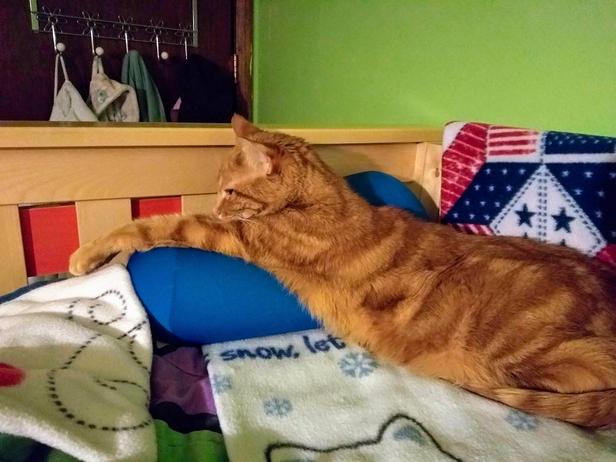 Huey joined the competition — help win amazing prizes! bed, bedding, carnivore, cat, comfort, couch, domestic_short_haired_cat, fawn, felidae, fur, human_leg, linens, paw, picture_frame, room, small_to_medium_sized_cats, tail, textile, whiskers, wood