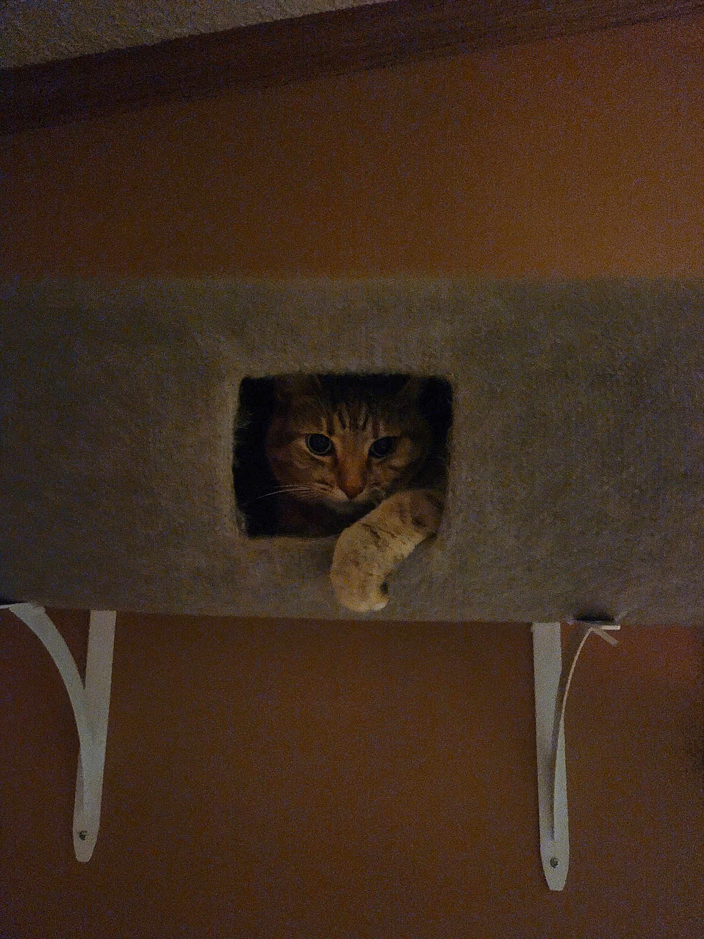 Kit Kat