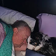 Cookie is registered to the contest to win money with this photo: animal, bed, blanket, closeup, comfort, dark_background, dog, elderly_person, face, fur, head, human, indoor, peaceful, pet, pillow, quilt, rest, sleeping, snuggle