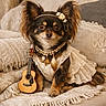 dog, small_dog, lace_dress, necklace, headpiece, flower, pearl_necklace, miniature_guitar, wooden_guitar, brown_fur, long_ears, pet, cute, cozy, blanket, indoor, portrait, animal, decor, sitting