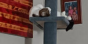 Frankie And Leelo is registered to the contest to win money with this photo: cat, sleeping_cat, cat_tree, platform, indoor, framed_photo, family_portrait, wall, art_canvas, striped_pattern, cozy, paw, whiskers, tabby, white_fur, black_tail, vertical_pole, furniture, home_interior, pet