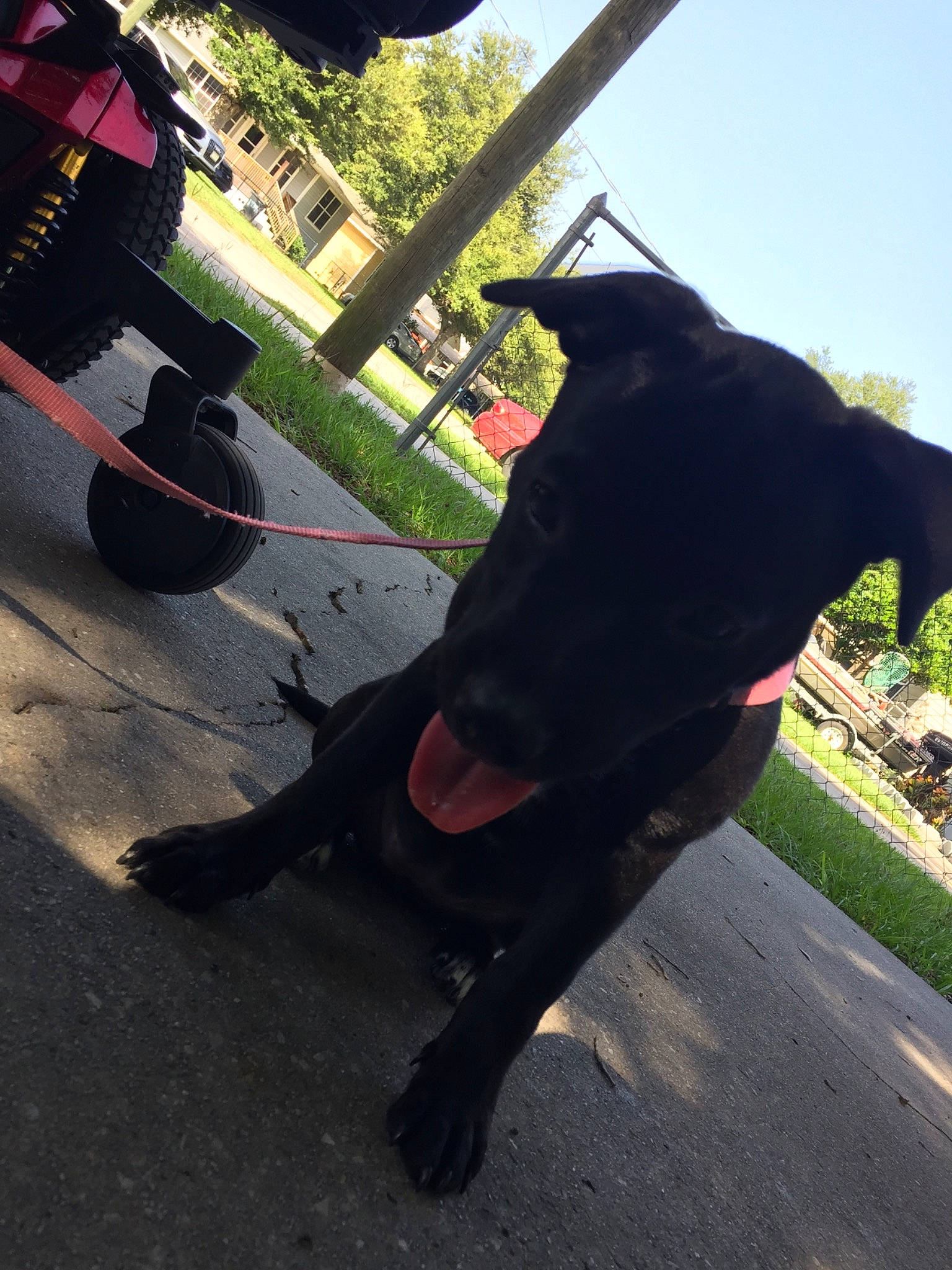 Beretta joined the competition — help win amazing prizes! asphalt, automotive_tire, bumper, grass, human_leg, leg, leisure, personal_protective_equipment, plant, road, road_surface, rolling, sky, synthetic_rubber, tail, tints_and_shades, tire, tread, tree, wheel