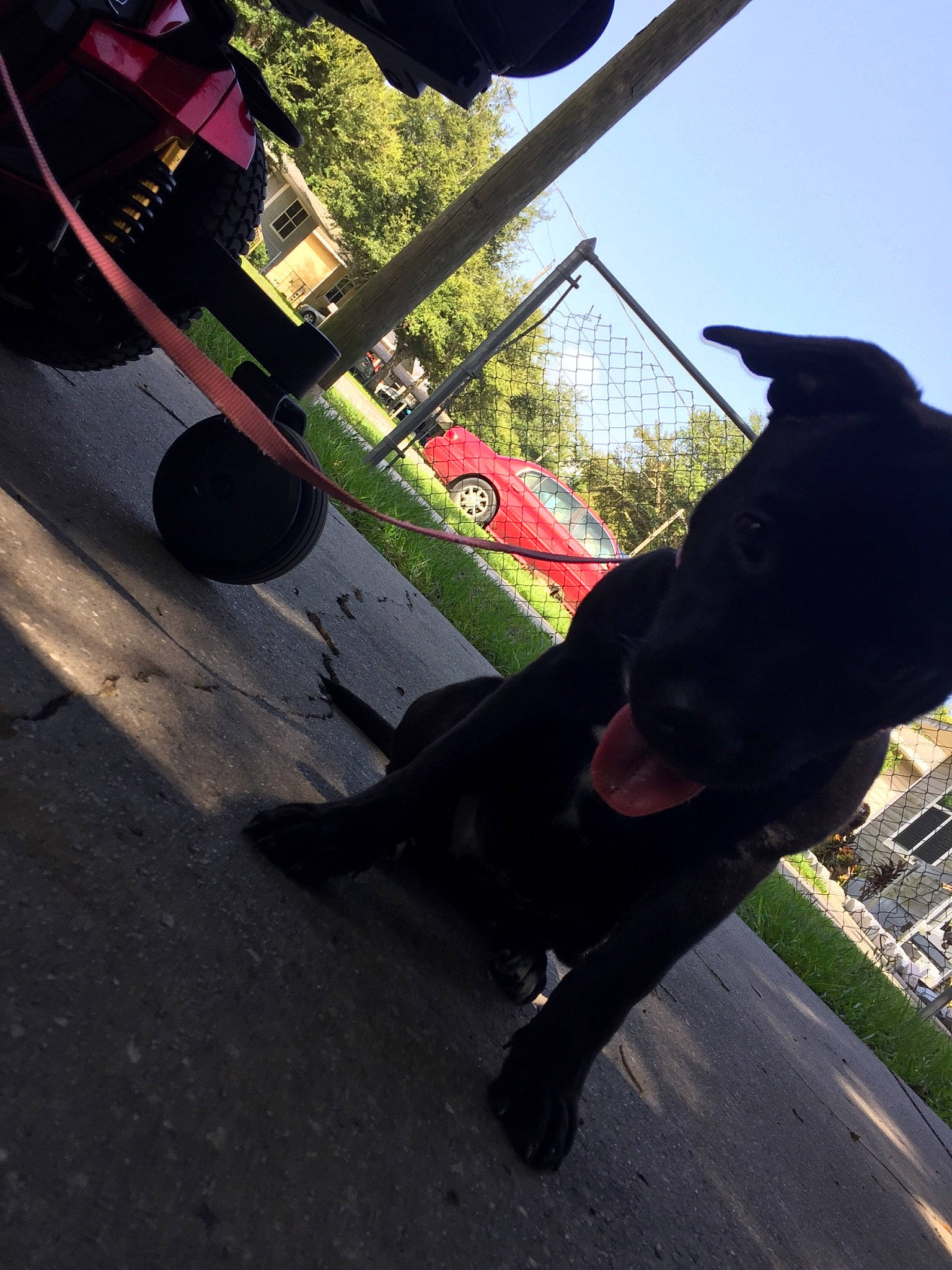 Beretta joined the competition — help win amazing prizes! asphalt, automotive_exterior, automotive_lighting, automotive_mirror, automotive_tire, car, cool, fun, human_leg, leg, leisure, plant, rolling, sky, snapshot, tints_and_shades, tire, tree, vehicle_door, wheel