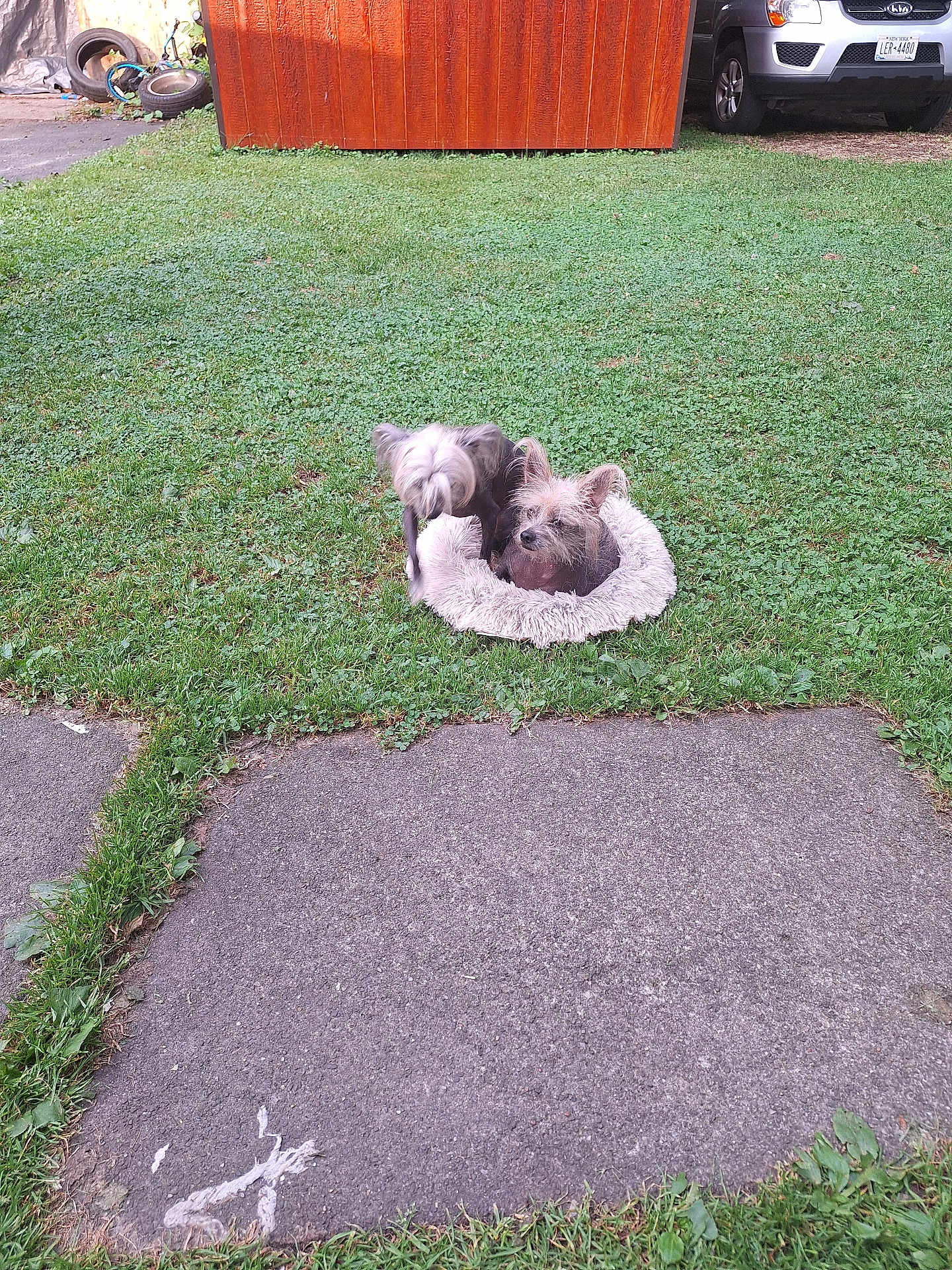 Prince And Princess