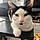 Kitty Kat