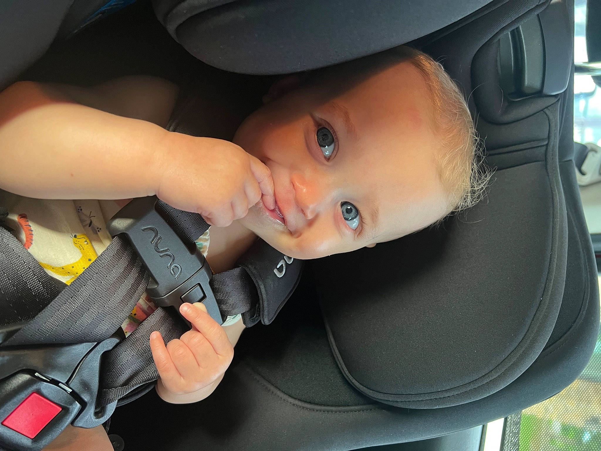 Preslee is registered to the contest to win money with this photo: auto_part, automotive_design, automotive_exterior, automotive_lighting, automotive_mirror, baby_carriage, bumper, car, car_seat, car_seat_cover, gesture, motor_vehicle, person, personal_luxury_car, seat_belt, smile, steering_part, steering_wheel, toddler, trunk