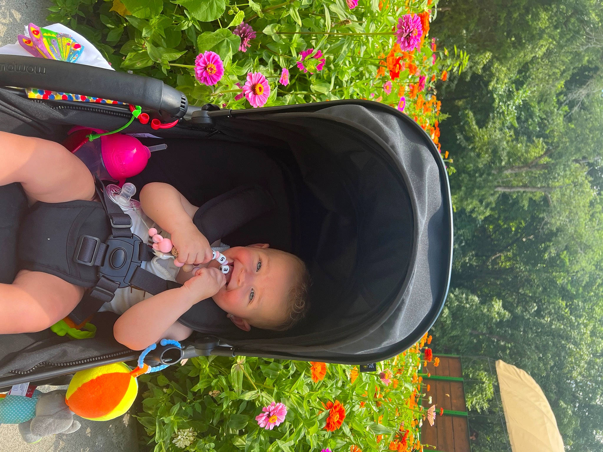 Preslee joined the competition — help win amazing prizes! baby_products, child, citrus, flower, fun, grass, green, hat, headgear, leisure, lemon, party_supply, person, plant, recreation, shorts, summer, tableware, thigh, tree