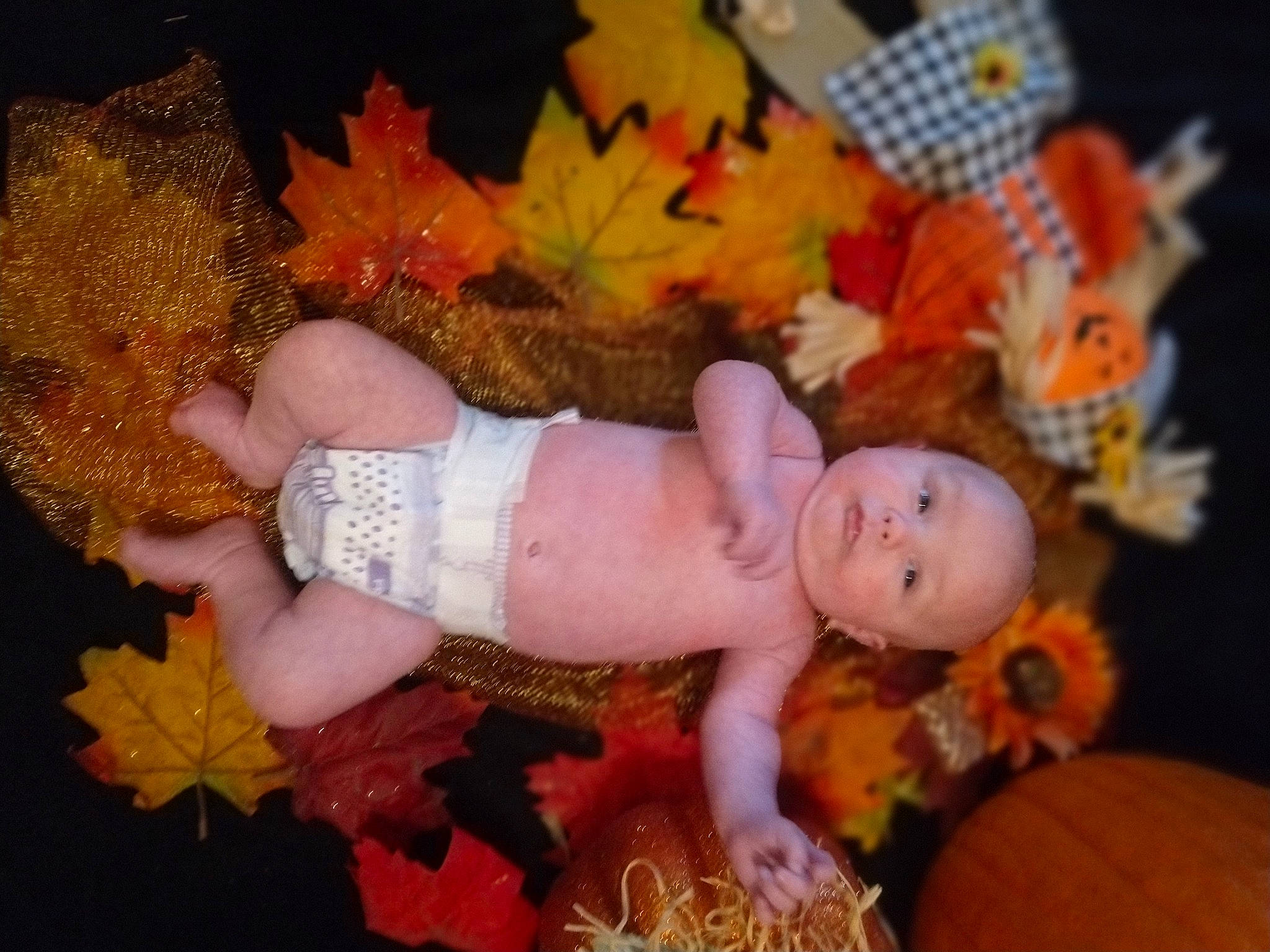 Silas joined the competition — help win amazing prizes! art, baby_toddler_clothing, baby_toys, child, doll, fawn, fun, grass, lap, orange, peach, person, pink, plant, plush, room, stuffed_toy, textile, toy, tree