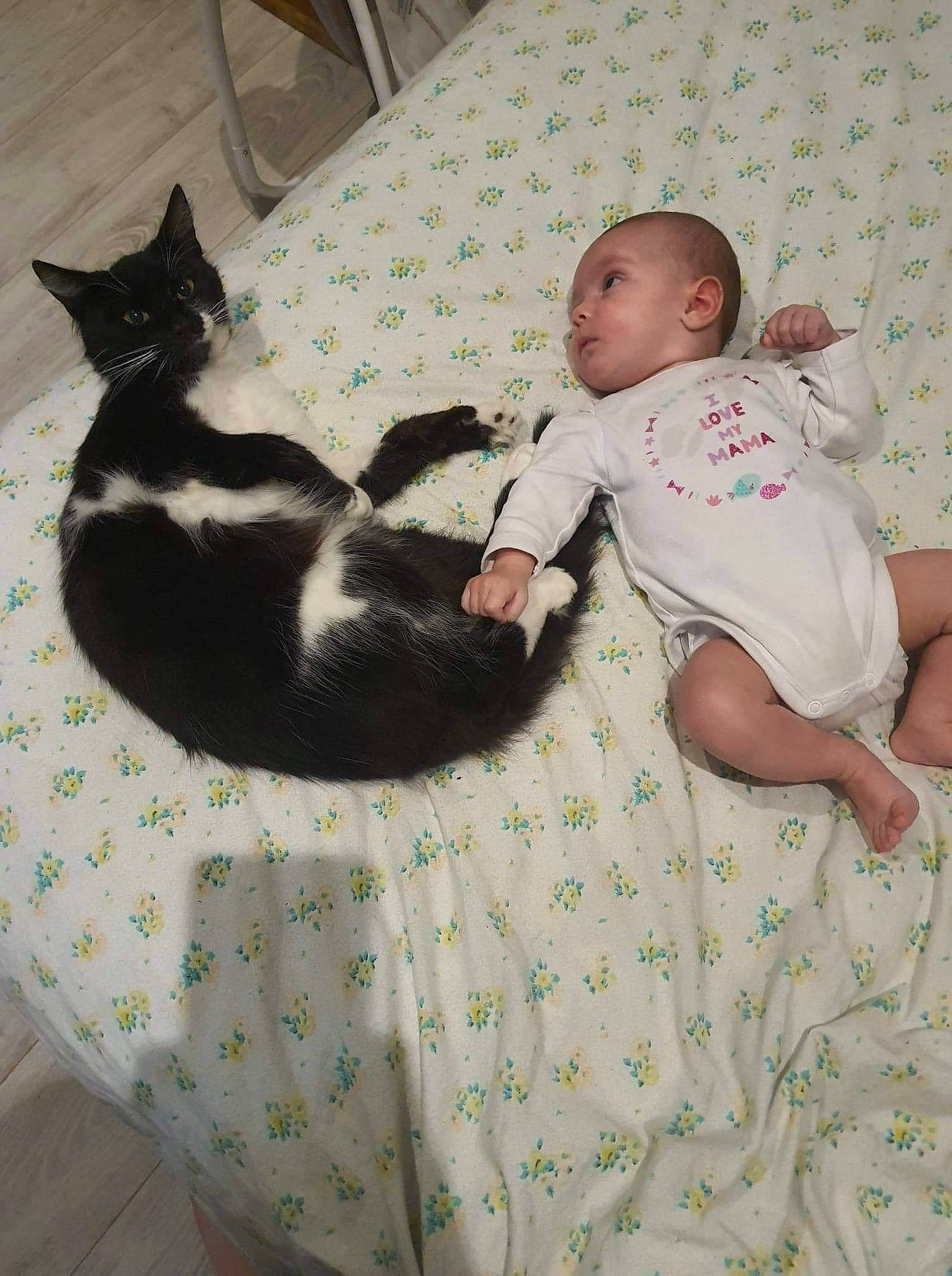 Lylianna participe au concours pour gagner de l'argent avec cette photo : baby, canidae, carnivore, cat, child, comfort, ear, felidae, furniture, linens, nap, person, small_to_medium_sized_cats, tail, toddler