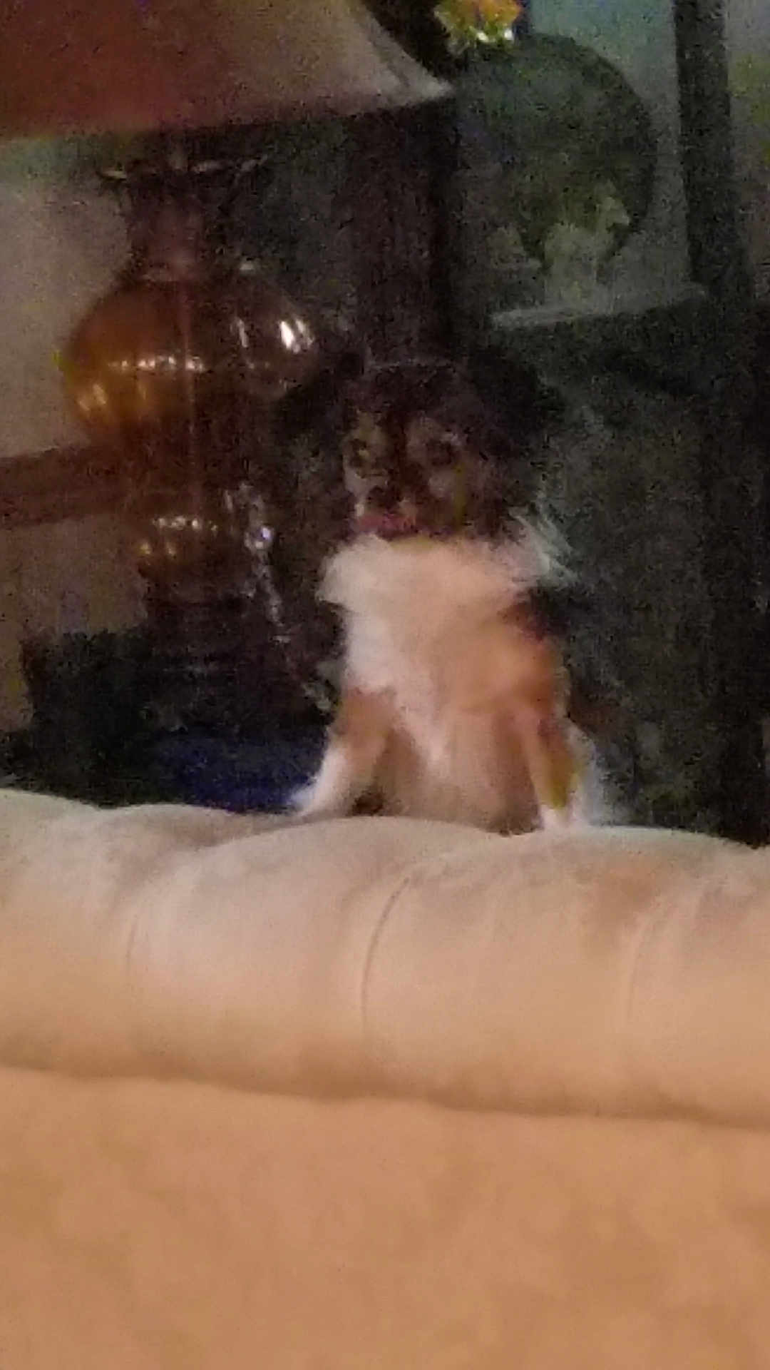 Lucy