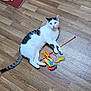 animal, bird_toy, cat, colorful, curious, domestic_cat, feline, floor, gray_spots, indoor, looking, mat, pet, playful, relaxed, stick, sunflower_pattern, toy, white_cat, wooden_floor