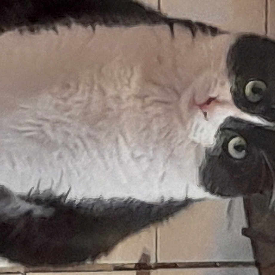 Mimi