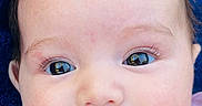 Amaya is registered to the contest to win money with this photo: baby, close_up, face, infant, pink_bow, blue_background, tongue_out, cute, child, portrait, skin, eyelashes, head, expression, person, human, young_child, baby_clothing, adorable, smile