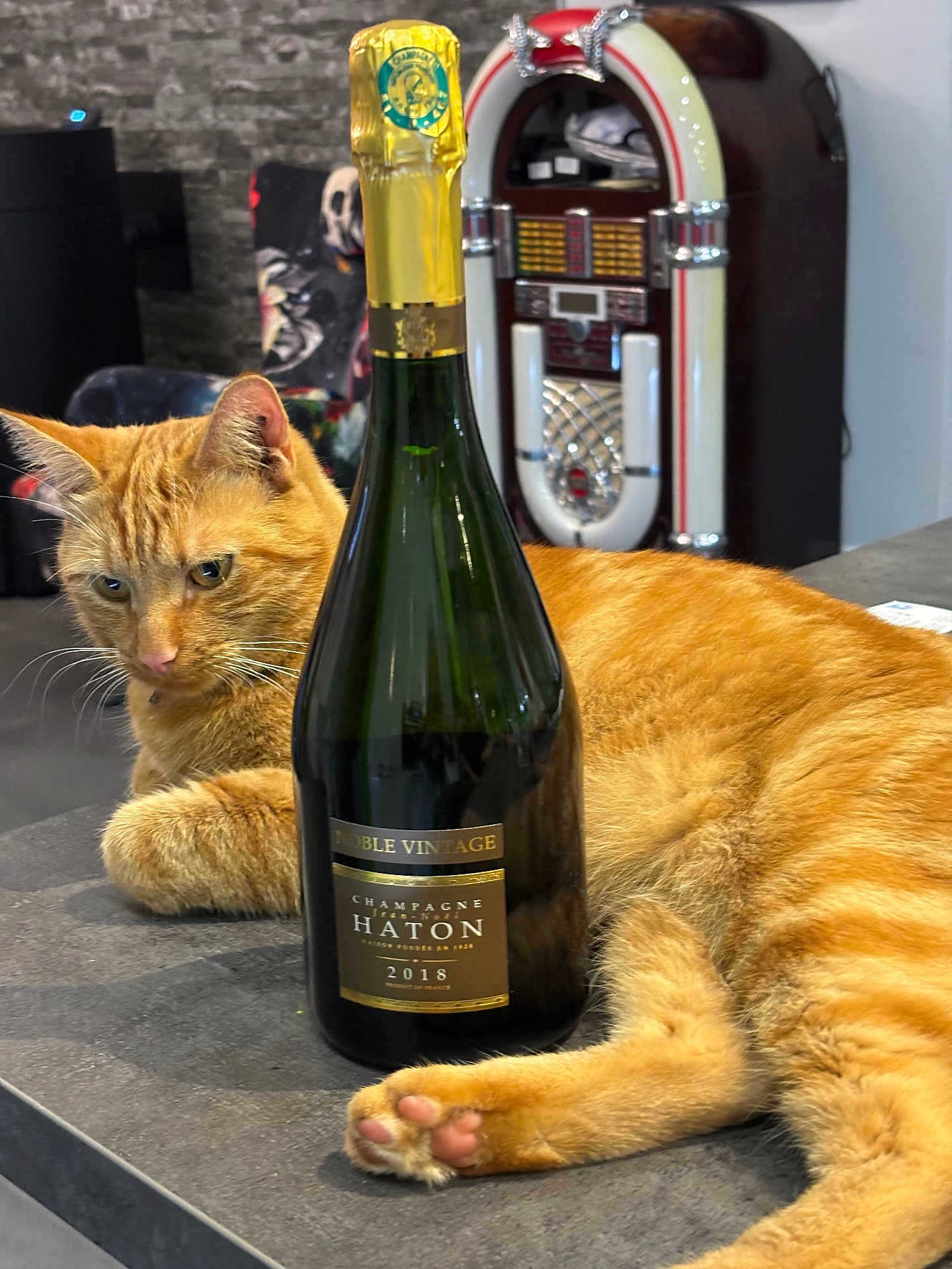 Mickey participe au concours pour gagner de l'argent avec cette photo : cat, ginger_cat, bottle, champagne, countertop, jukebox, indoor, feline, relaxed, orange_fur, table, retro, drink, beverage, animal, pet, fur, whiskers, pink_paw, domestic_cat