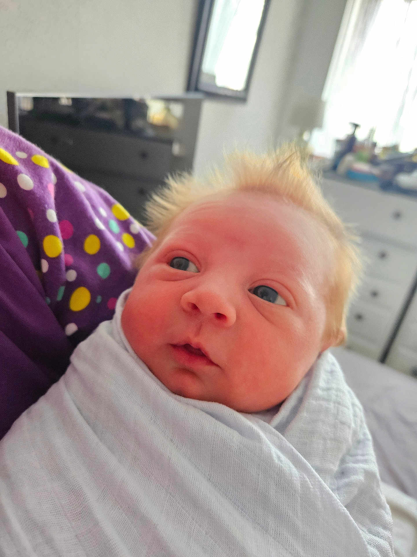 William is registered to the contest to win money with this photo: newborn, baby, infant, swaddle, blanket, face, hair, blue_eyes, curious, close_up, indoor, bedroom, furniture, polka_dots, purple, soft_light, portrait, person, child, resting