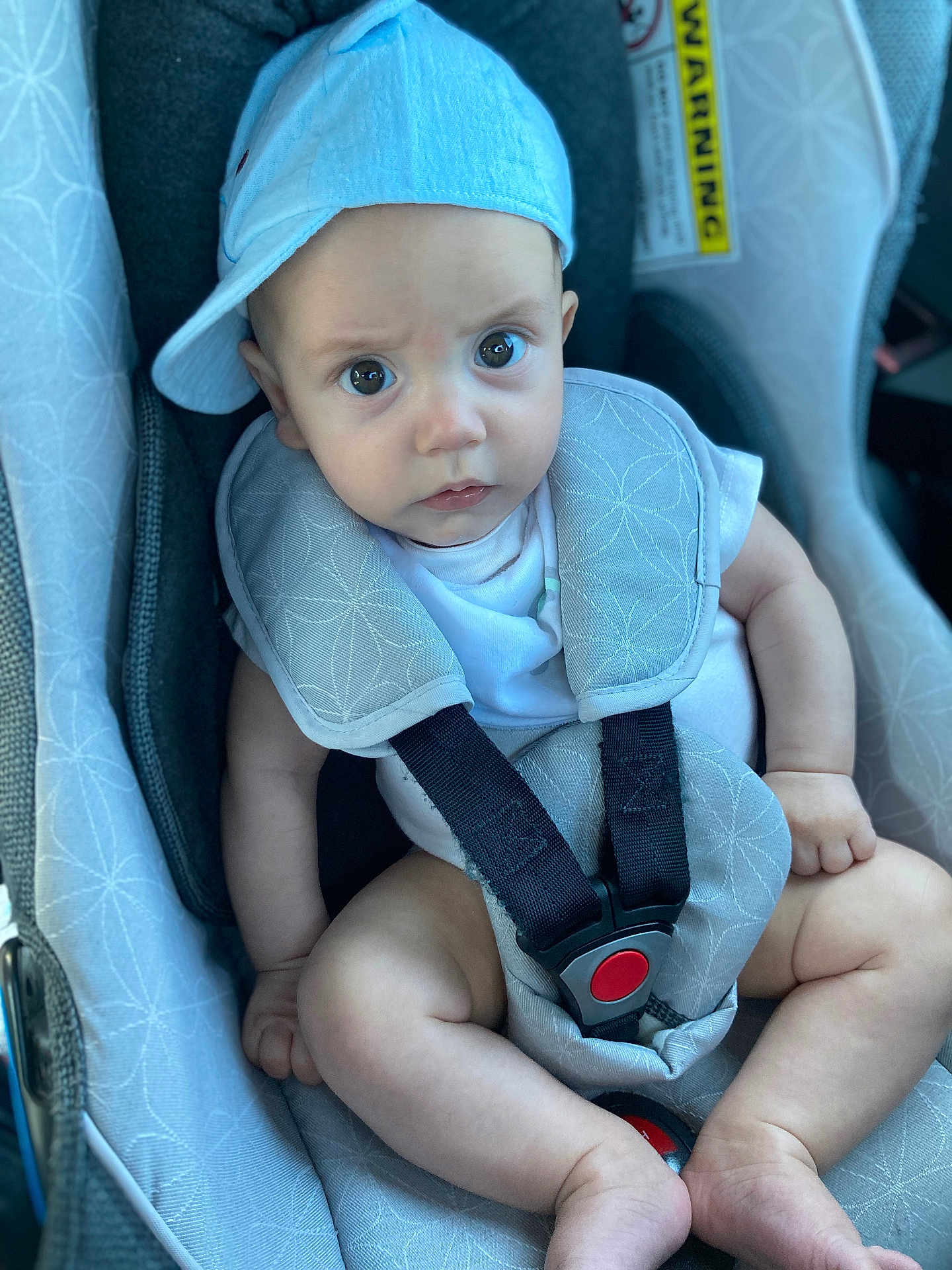 Stefan joined the competition — help win amazing prizes! baby, child, car_seat, blue_cap, infant, sitting, straps, buckled, curious, expression, indoors, closeup, face, headwear, cute, skin, legs, arms, casual, comfort