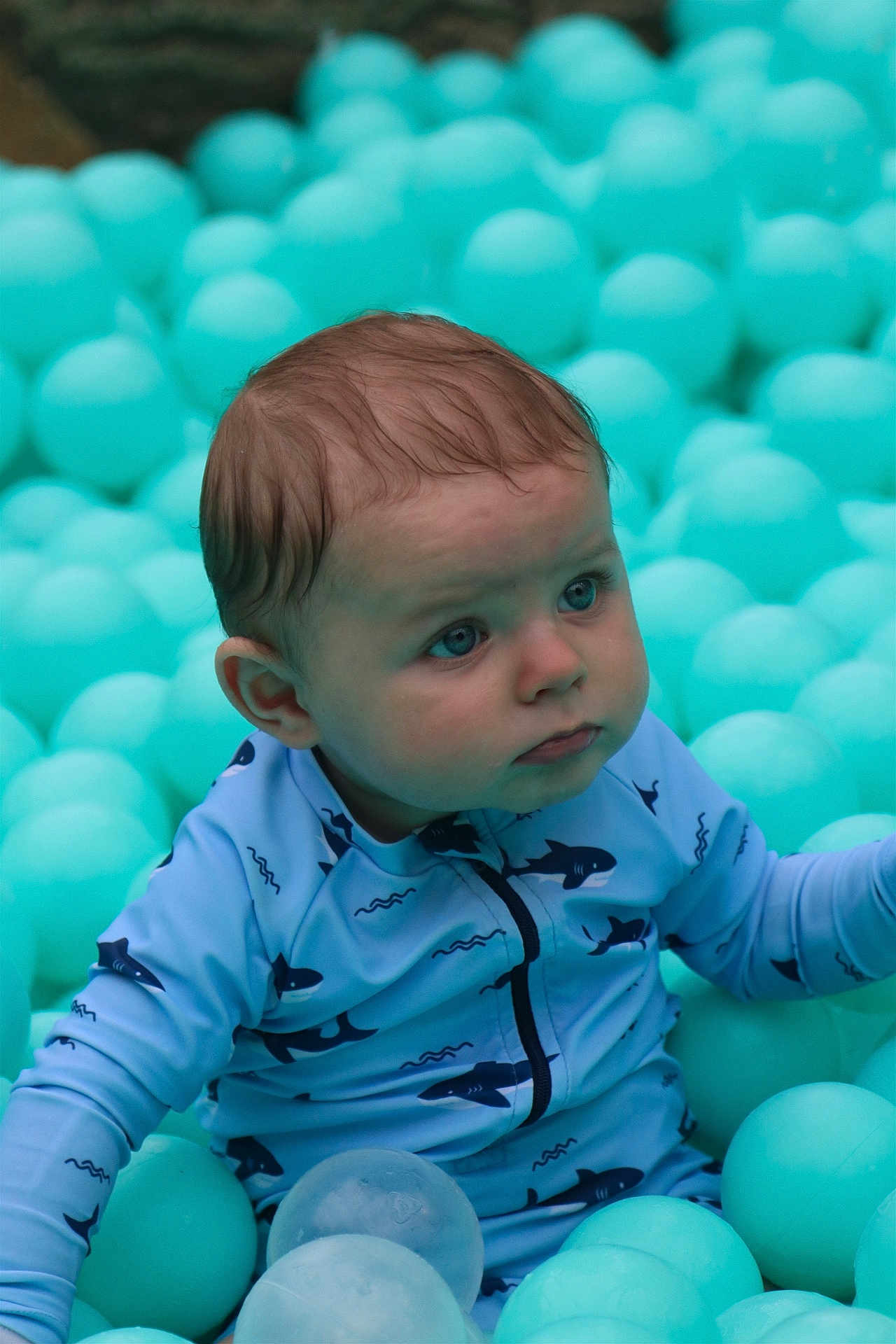 Joyce a rejoint le concours — aidez-le/la à gagner de superbes lots ! baby, infant, child, ball_pit, teal_balls, swimsuit, shark_print, face, eyes, curious_expression, sitting, play, soft_toys, portrait, cute, skin, hair, hand, indoors, closeup