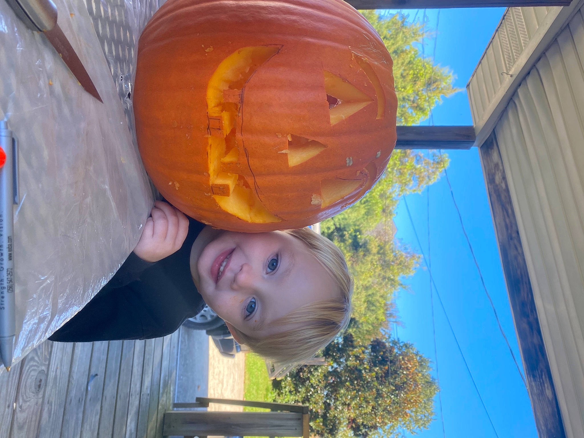 Benton joined the competition — help win amazing prizes! blue, calabaza, cucurbita, electric_blue, fun, gourd, happy, hat, joy, leaf, leisure, orange, person, plant, pumpkin, sky, smile, tints_and_shades, tree, vegetable