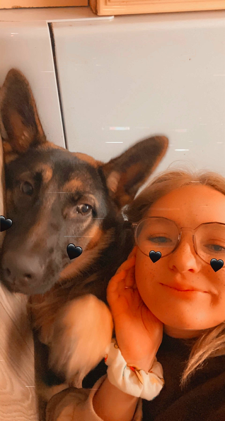 Maeve joined the competition — help win amazing prizes! canidae, carnivore, companion_dog, dog, dog_breed, ear, eyelash, fawn, fur, german_shepherd_dog, gesture, guard_dog, happy, herding_dog, jaw, selfie, snout, sporting_group, whiskers, working_animal