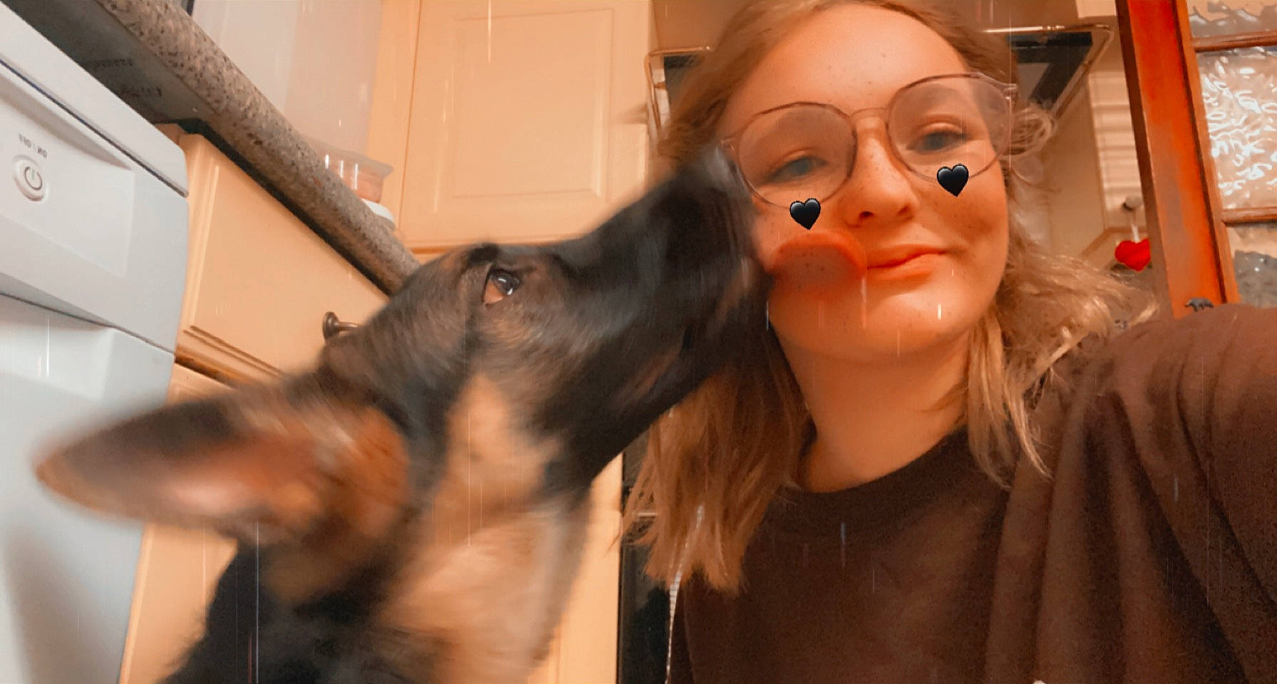 Maeve joined the competition — help win amazing prizes! carnivore, companion_dog, dog, dog_breed, ear, eyelash, eyewear, fawn, fun, fur, gesture, glasses, happy, jaw, long_hair, nose, selfie, sunglasses, vision_care, whiskers