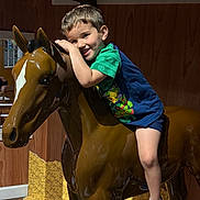 Noah joined the competition — help win amazing prizes! child, boy, smile, horse_statue, indoor, wooden_wall, green_shirt, shorts, sneakers, toy, playful, happy, statue, floor, light, person, posing, cute, young, fun