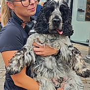 Ben a rejoint le concours — aidez-le/la à gagner de superbes lots ! black_and_white, building, casual_clothing, cobblestone, curly_fur, daylight, dog, glasses, happy, headphones, holding, leash, outdoor, pet, portrait, shorts, storefront, street, tongue_out, woman