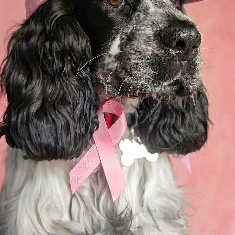 Ben 'Alias Benichou'