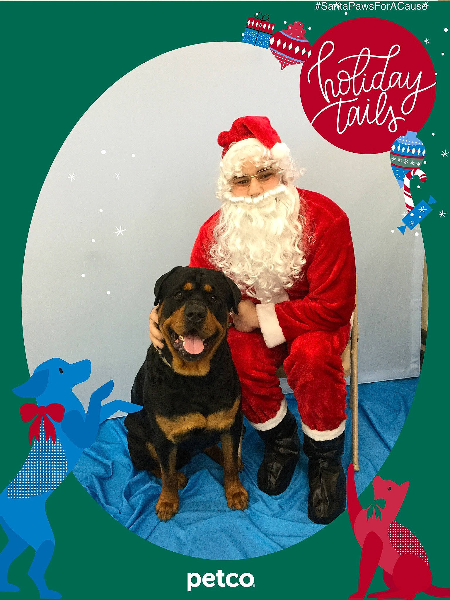 Sabby joined the competition — help win amazing prizes! advertising, christmas, christmas_ornament, dog, dog_like_mammal, event, fictional_character, holiday, person, santa_claus