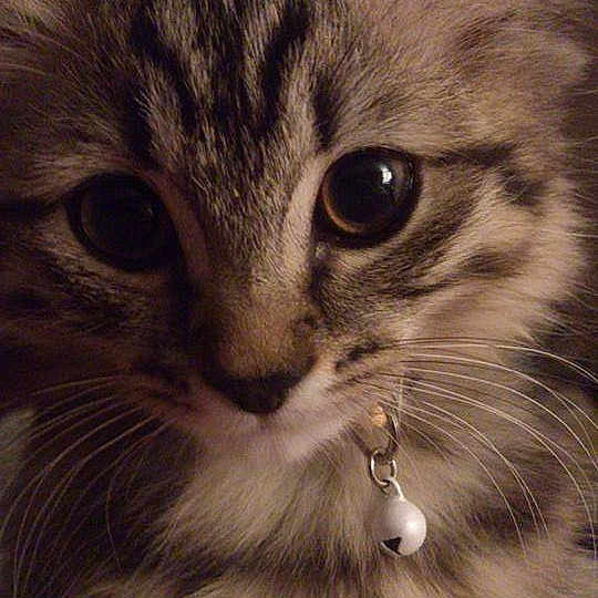 Parker is registered to the contest to win money with this photo: