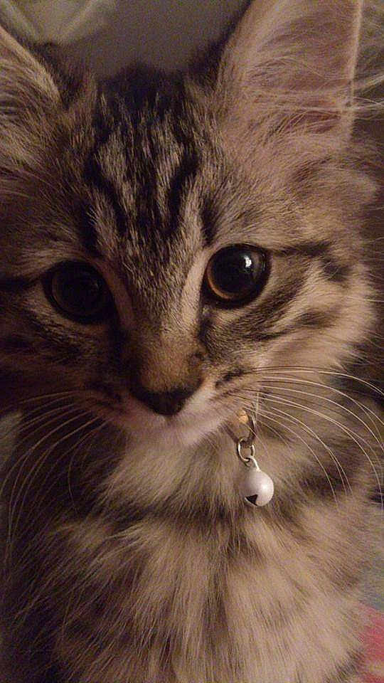 Parker is registered to the contest to win money with this photo: