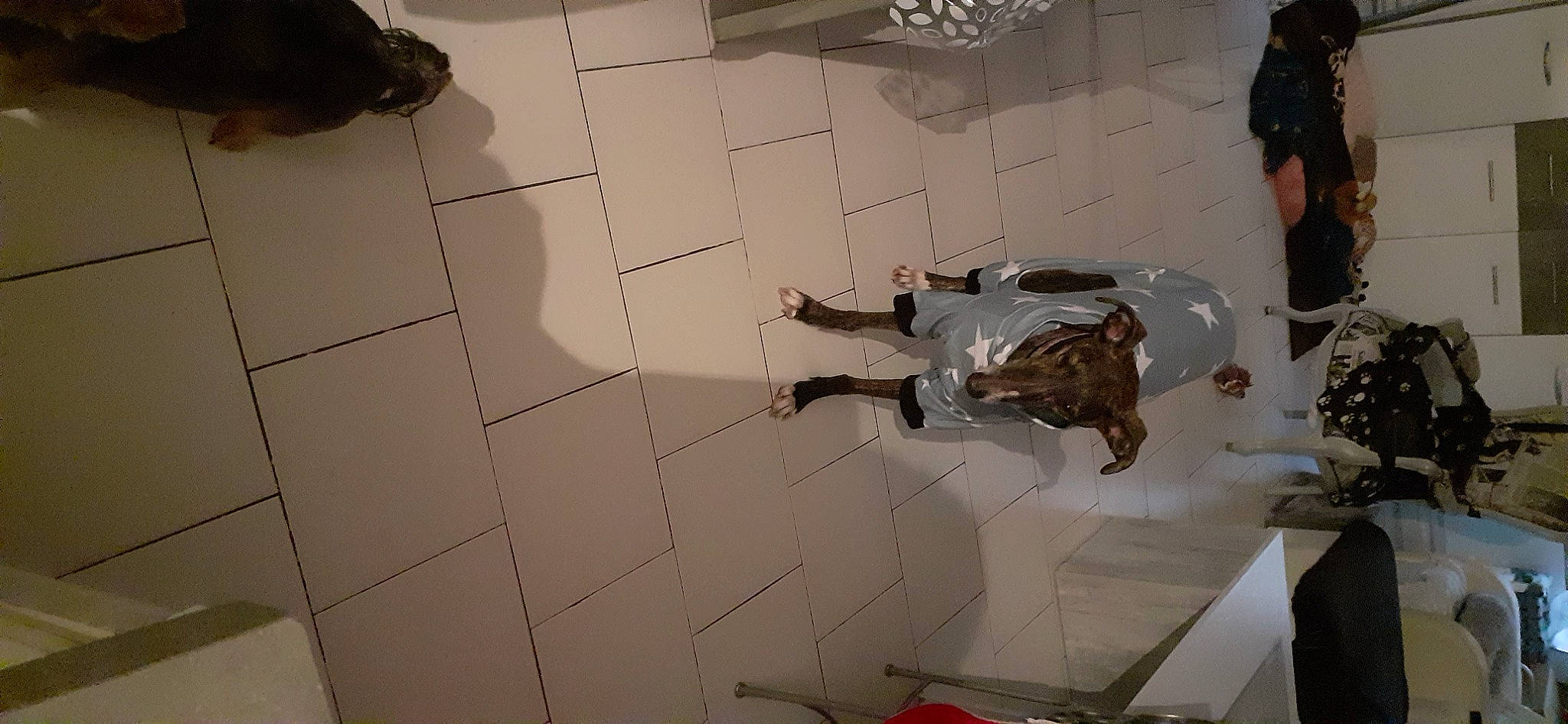 Shana participe au concours pour gagner de l'argent avec cette photo : art, floor, flooring, hardwood, human_leg, machine, pattern, room, sculpture, shadow, tile, tile_flooring, visual_arts, wood