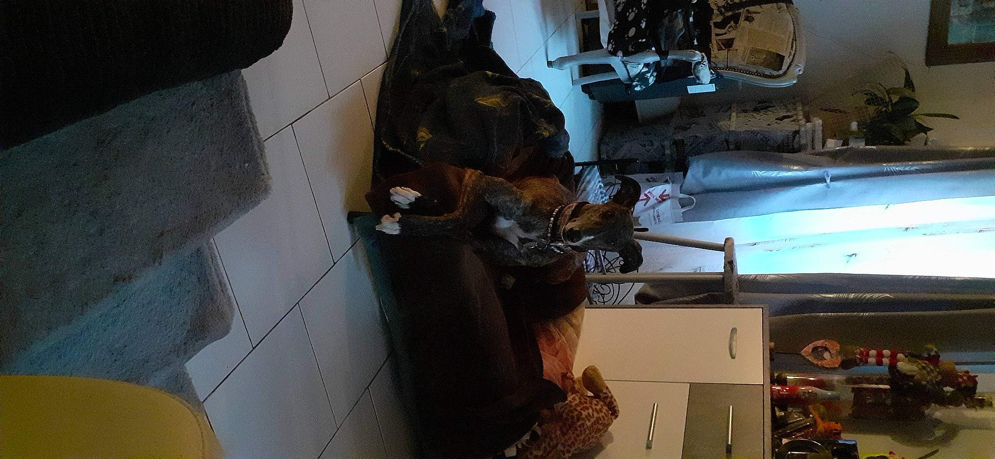 Shana participe au concours pour gagner de l'argent avec cette photo : cabinetry, flooring, hat, machine, room, service