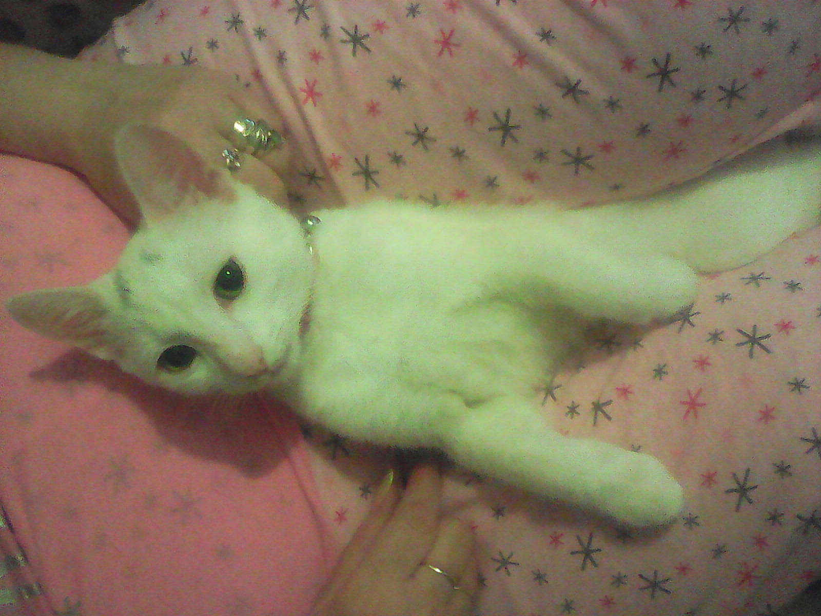 Smudge