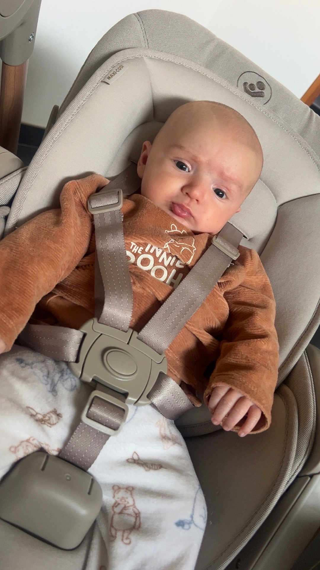 Lyssandre participe au concours pour gagner de l'argent avec cette photo : baby, bear_prints, brown_sweater, car_seat, child, clothing, comfort, cute, expression, face, hand, indoor, infant, looking, person, safety_harness, seat, white_pants, winnie_the_pooh, young