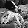 Liv participe au concours pour gagner de l'argent avec cette photo : baby, dog, black_and_white, infant, pet, couch, blanket, lying_down, face, snout, animal, child, cute, comfort, indoor, soft_texture, sleeping, close_up, tenderness, bond