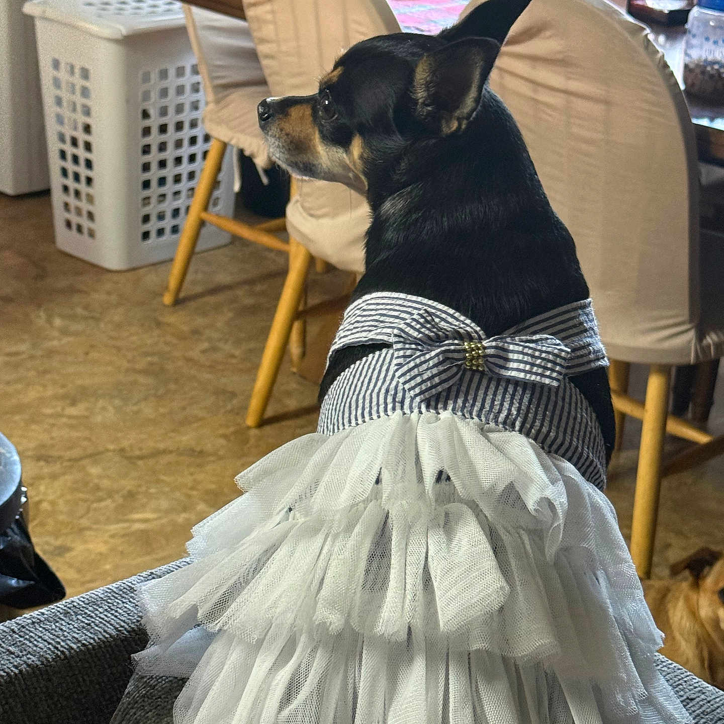 Chloe