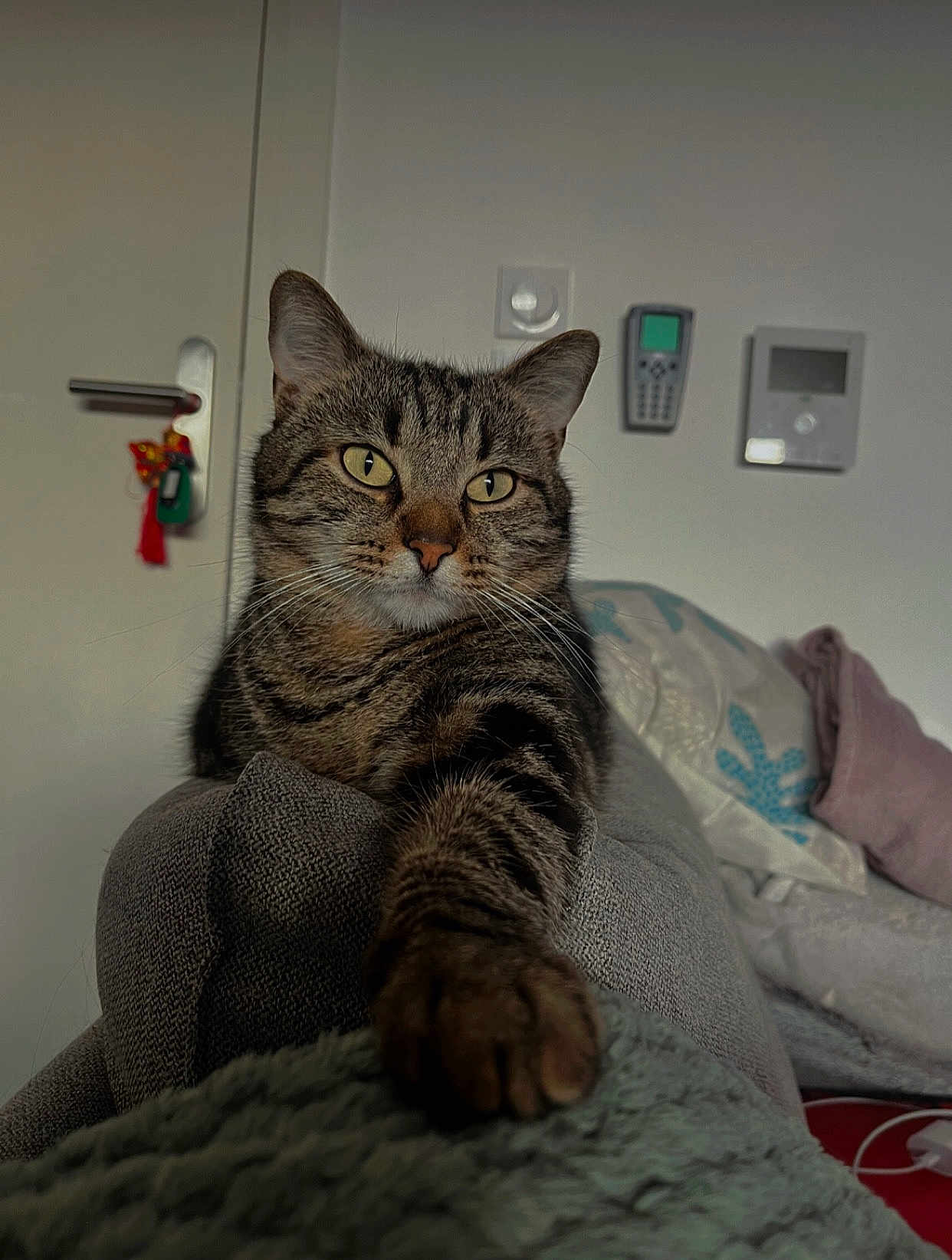 Helios
