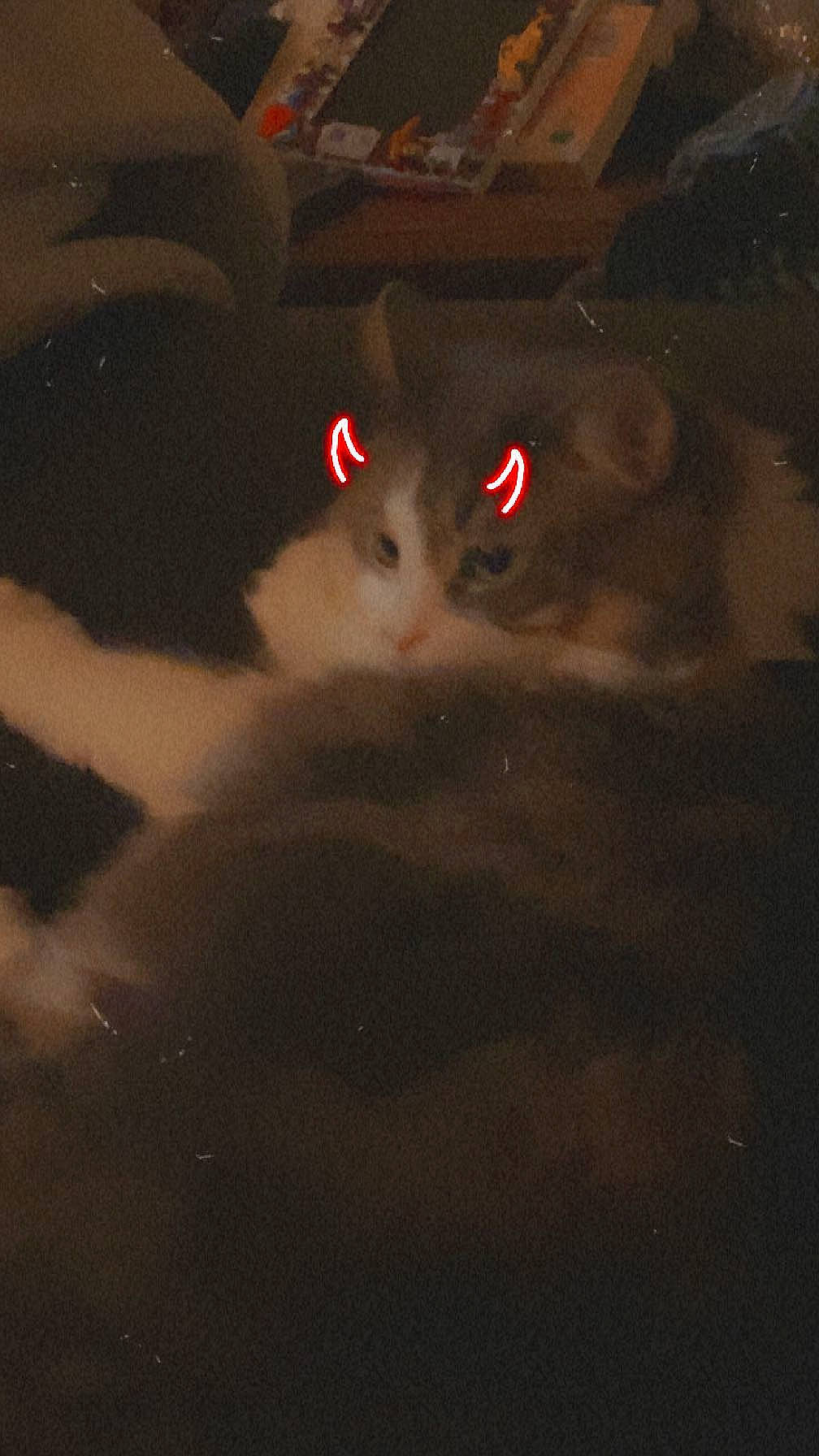 Kairi is registered to the contest to win money with this photo: art, astronomical_object, automotive_lighting, black_cat, carnivore, cat, cloud, domestic_short_haired_cat, eye, fawn, felidae, flooring, midnight, sky, small_to_medium_sized_cats, snout, tail, tints_and_shades, tree, whiskers